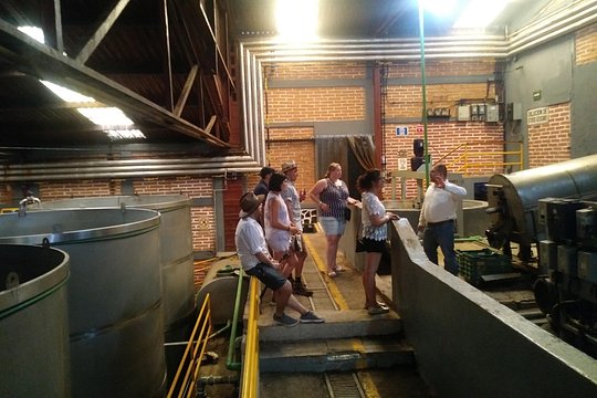 Tour image 12