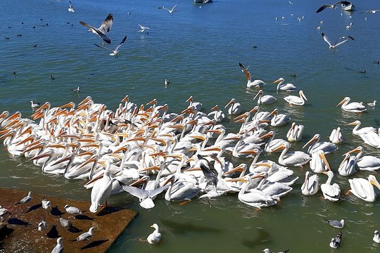 Tour image 11