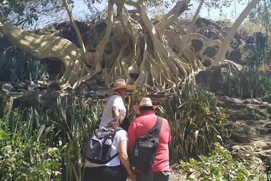 Tour image 14