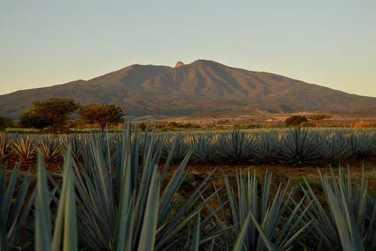 Tour image 1