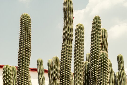Tour image 13