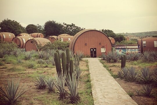 Tour image 12